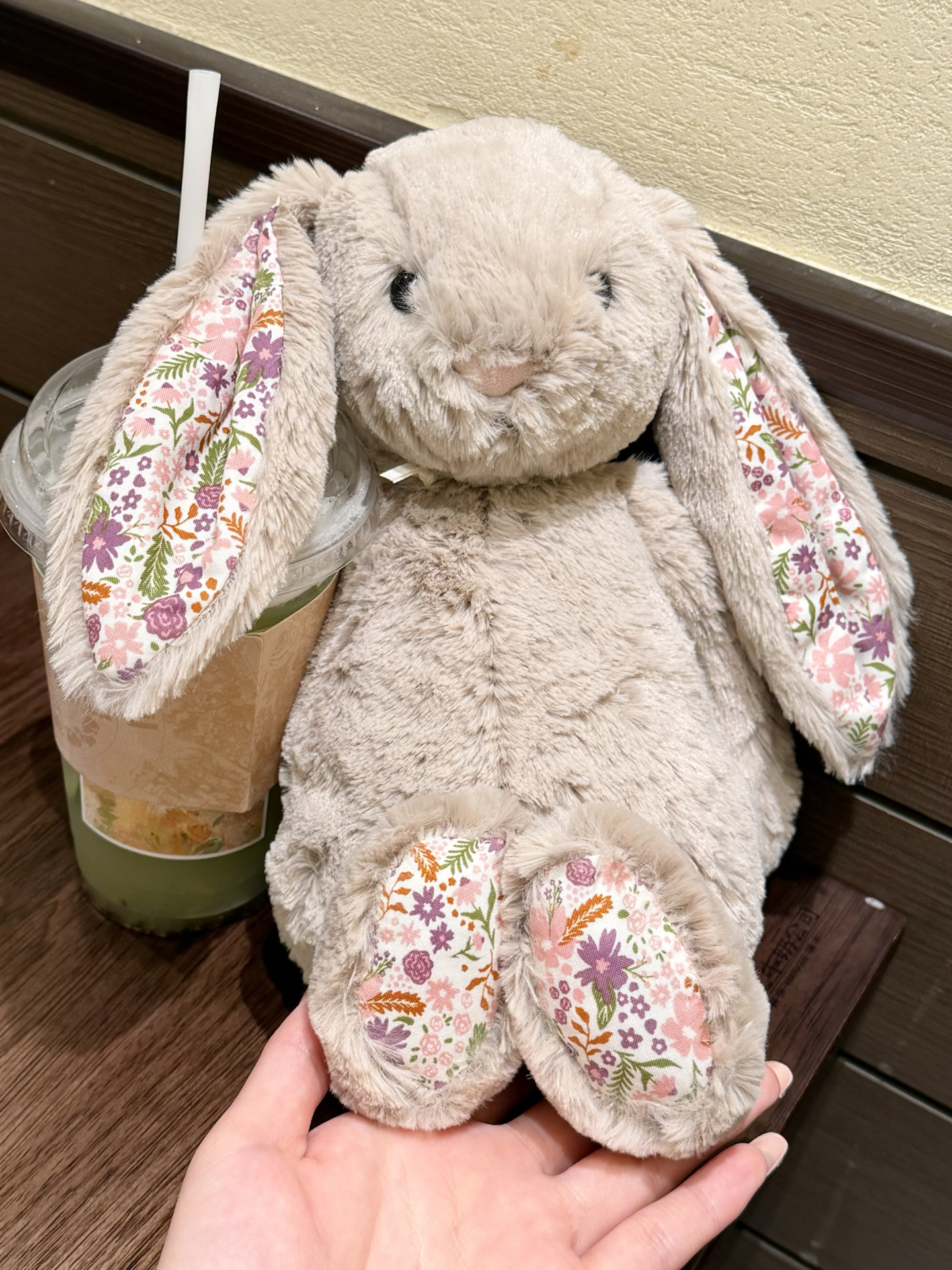 ˖Ი𐑼⋆哇咔咔...碎花灰色邦尼兔🐰萌鼠~