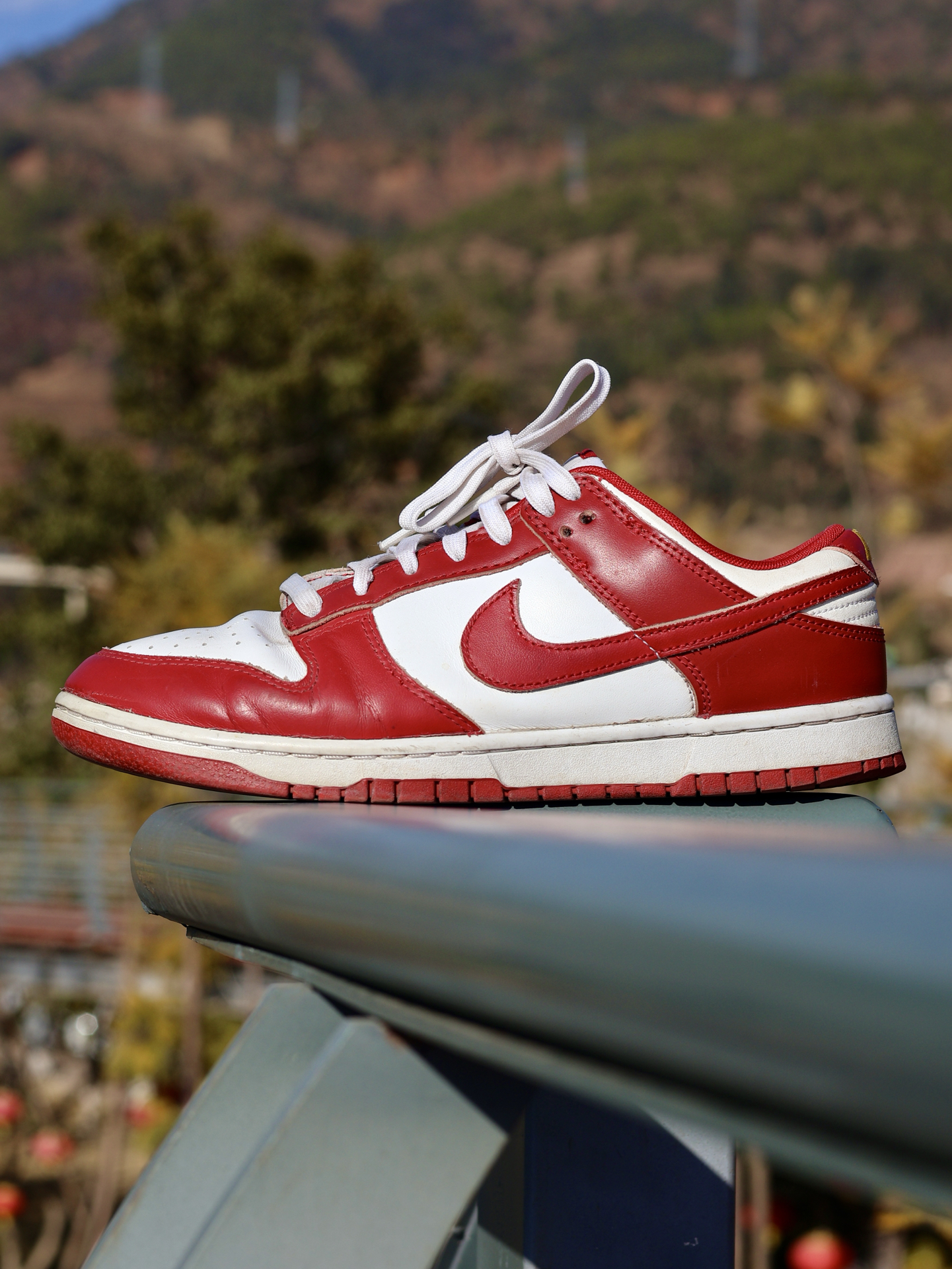 颜值爆表‼️｜这双DUNK太帅了✅