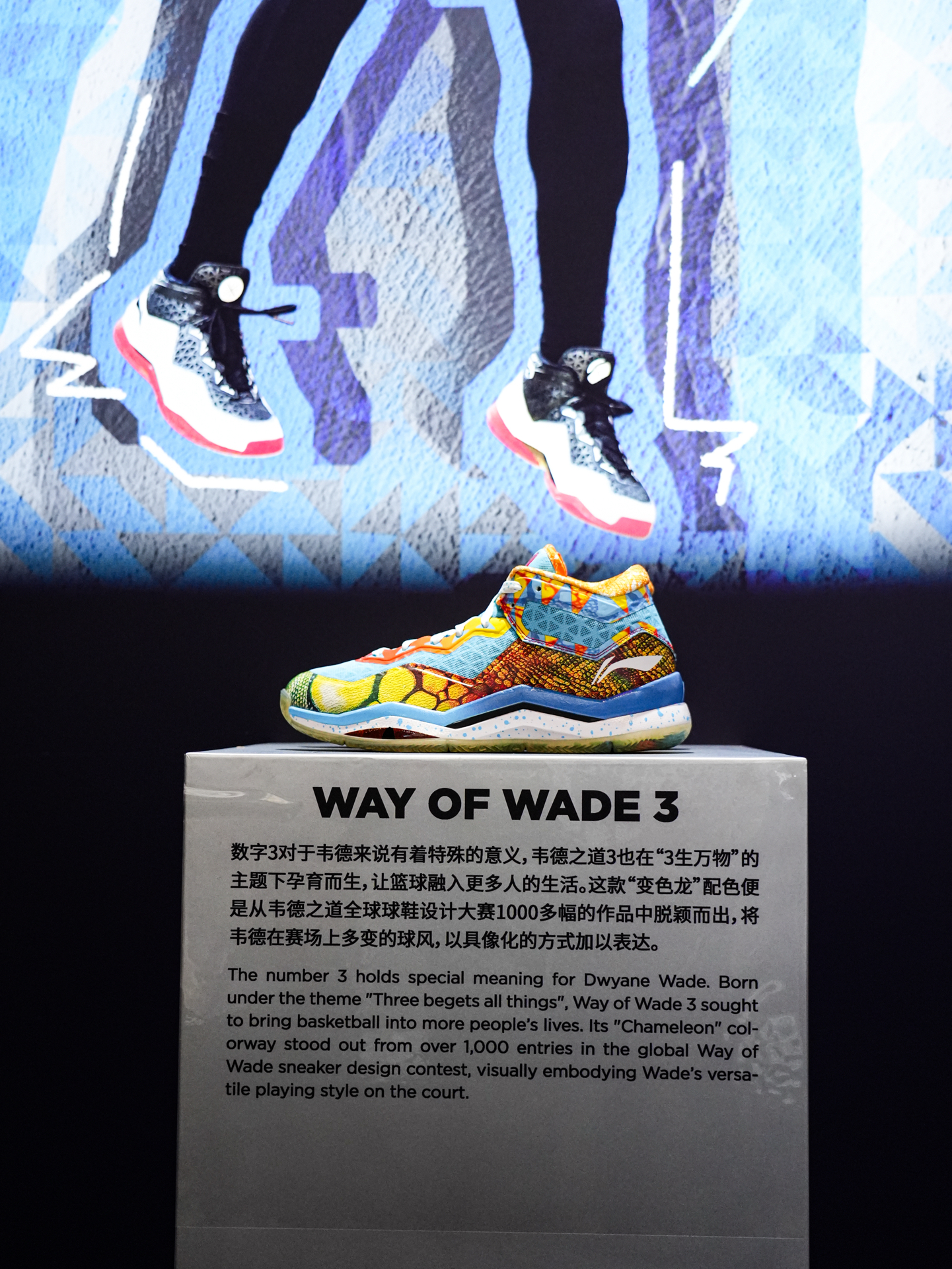 从1至13🔥见证着韦德之道的进步✨