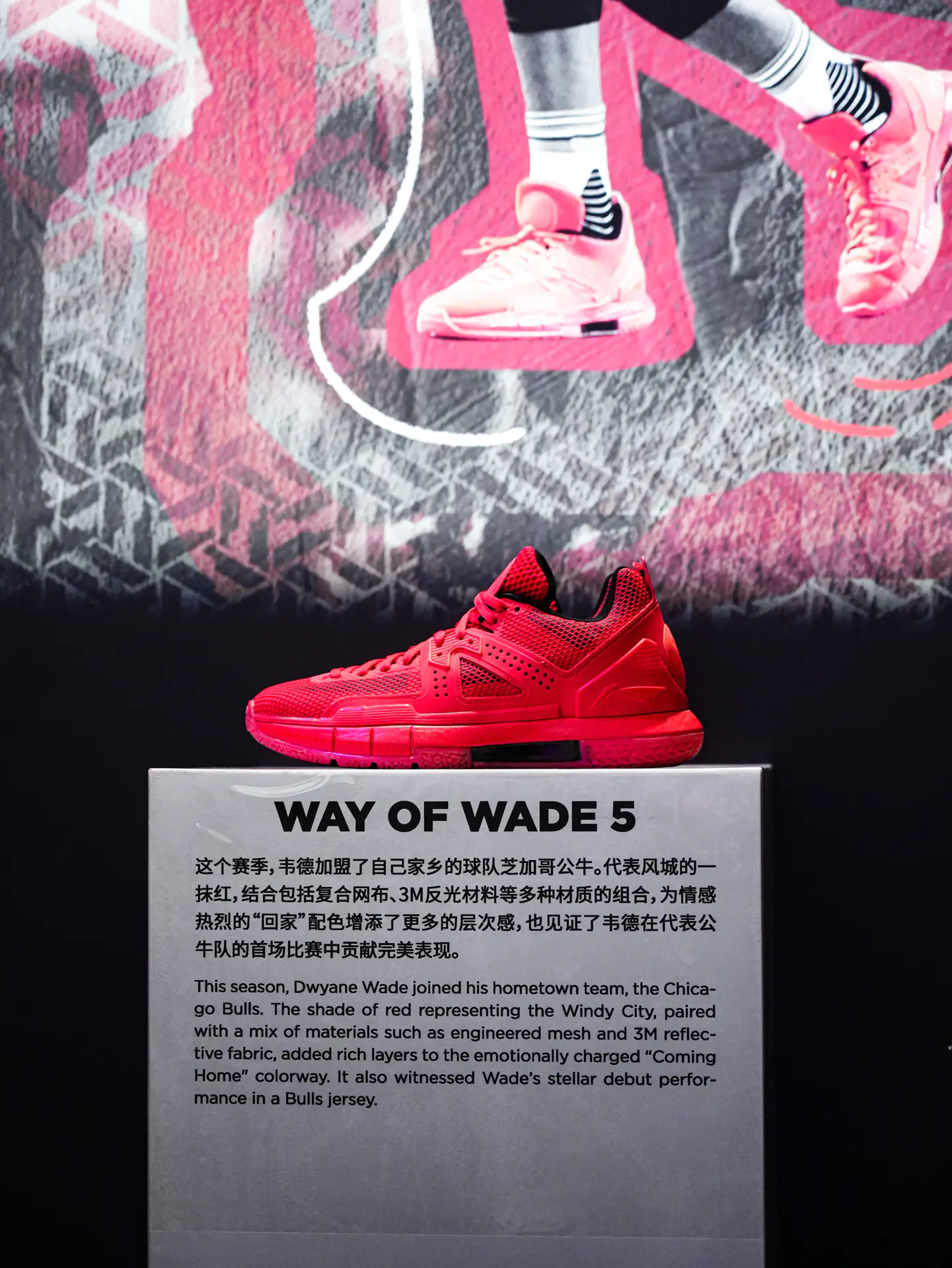 从1至13🔥见证着韦德之道的进步✨