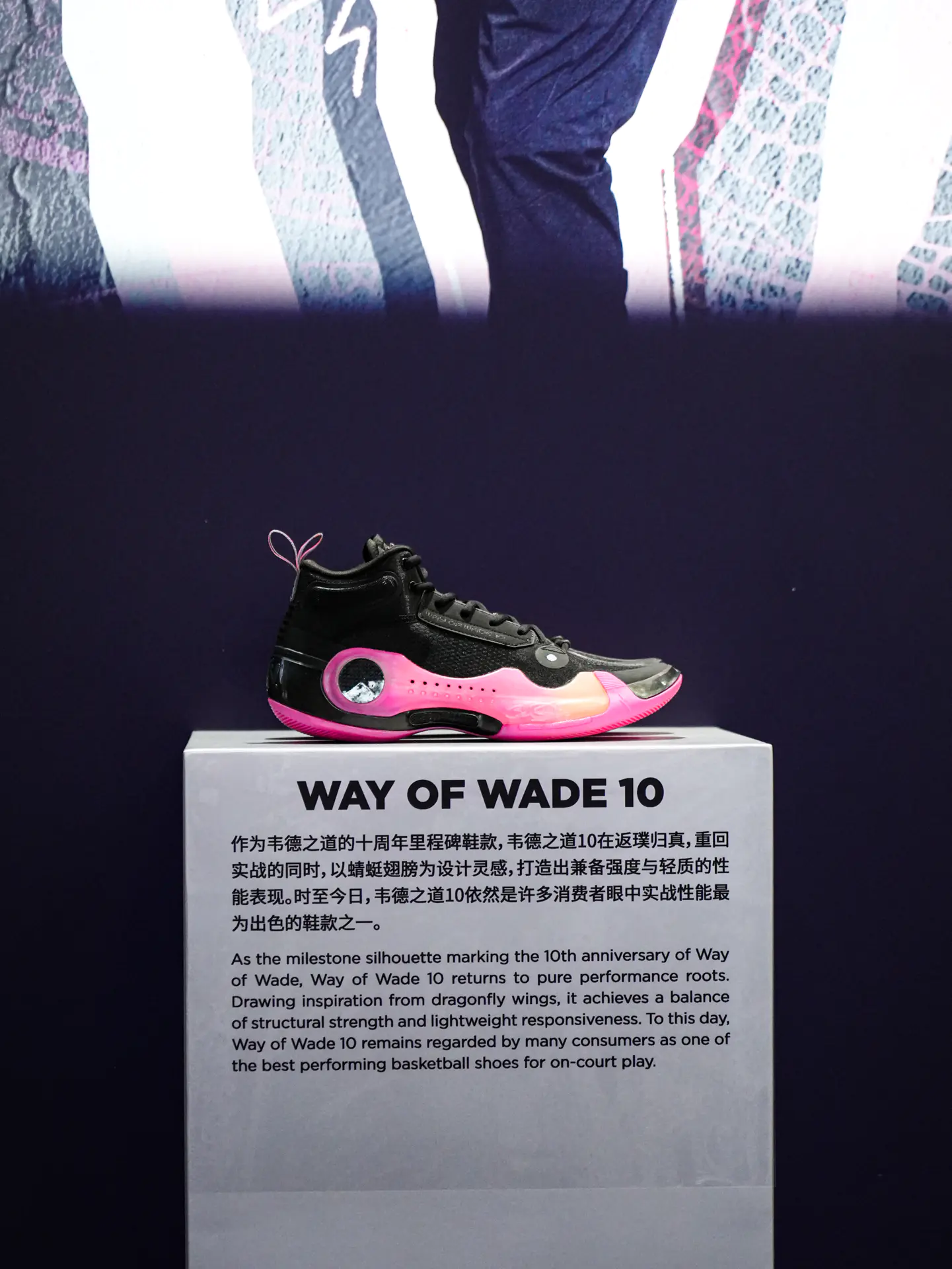 从1至13🔥见证着韦德之道的进步✨