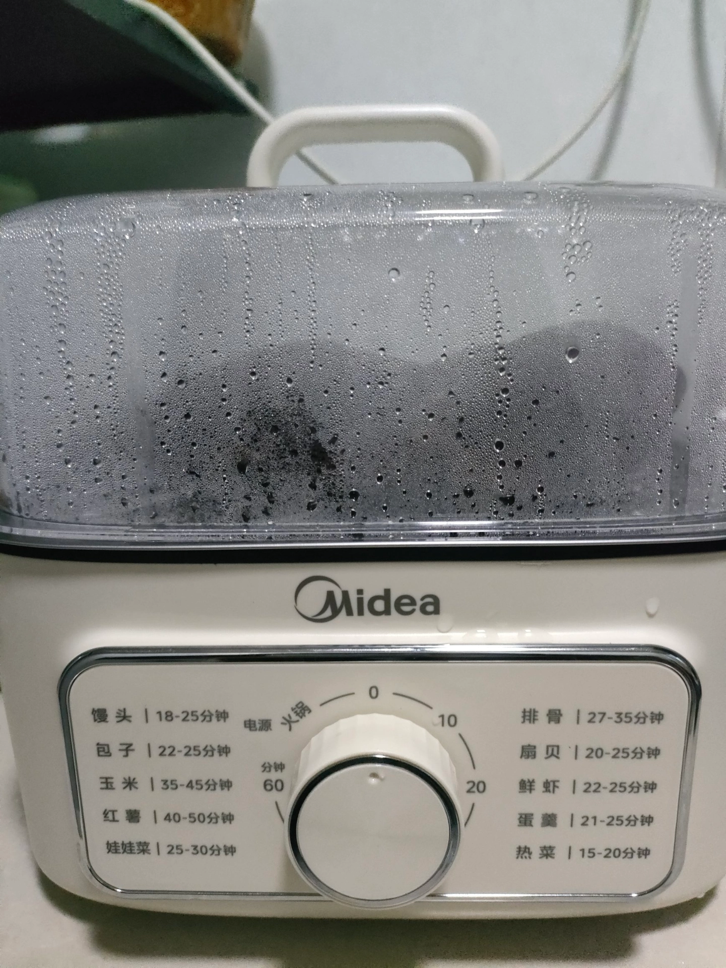 挖到宝！这电蒸锅相见恨晚啊🥘
