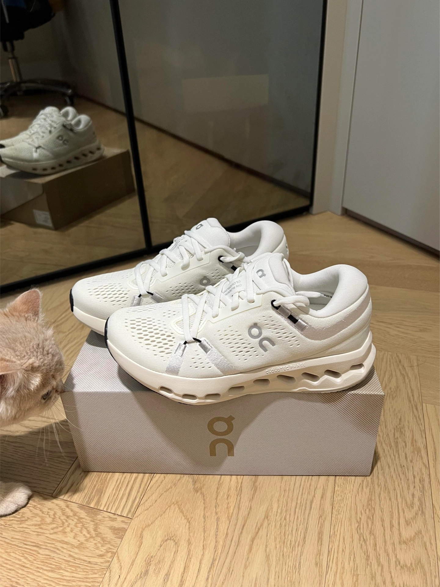 运动达人的心头好👟
