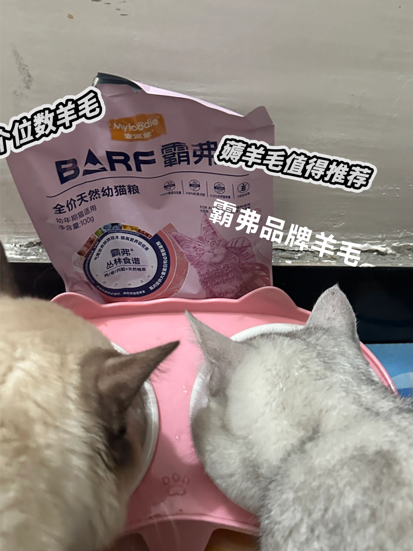 “个位数薅到让猫粘人的粮谁懂😺”