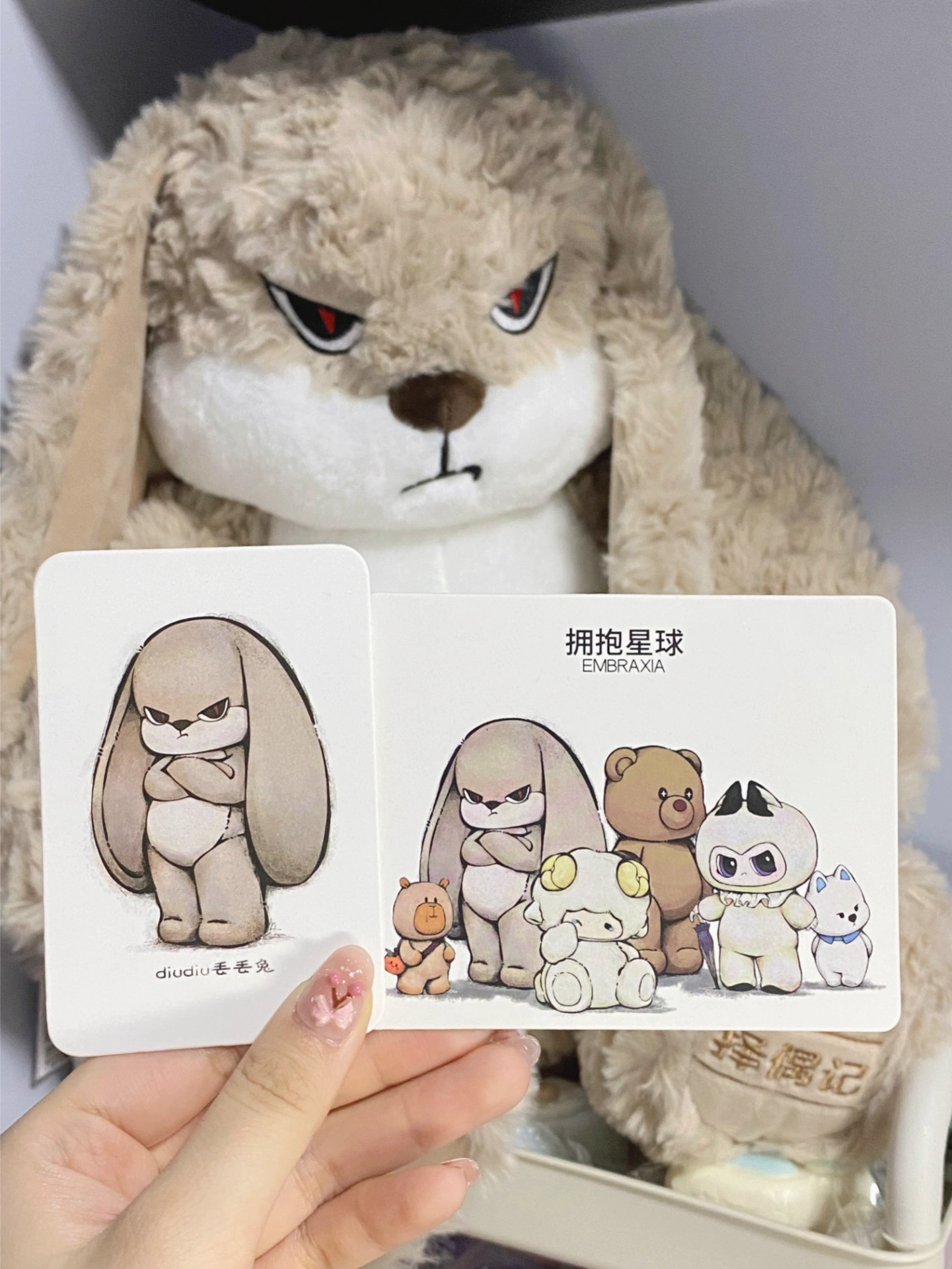 收到礼盒装兔兔 仪式感拉满🥳