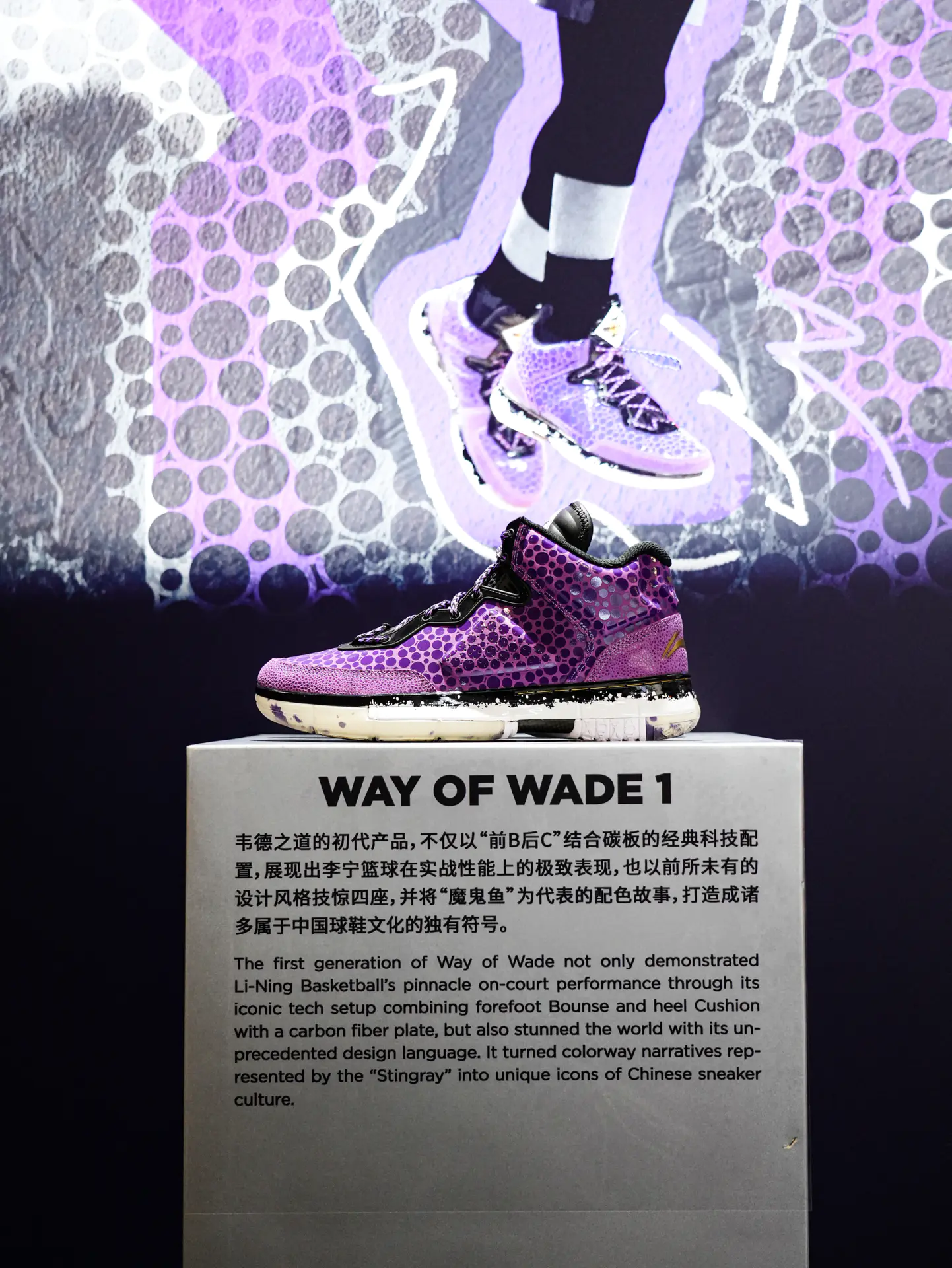从1至13🔥见证着韦德之道的进步✨