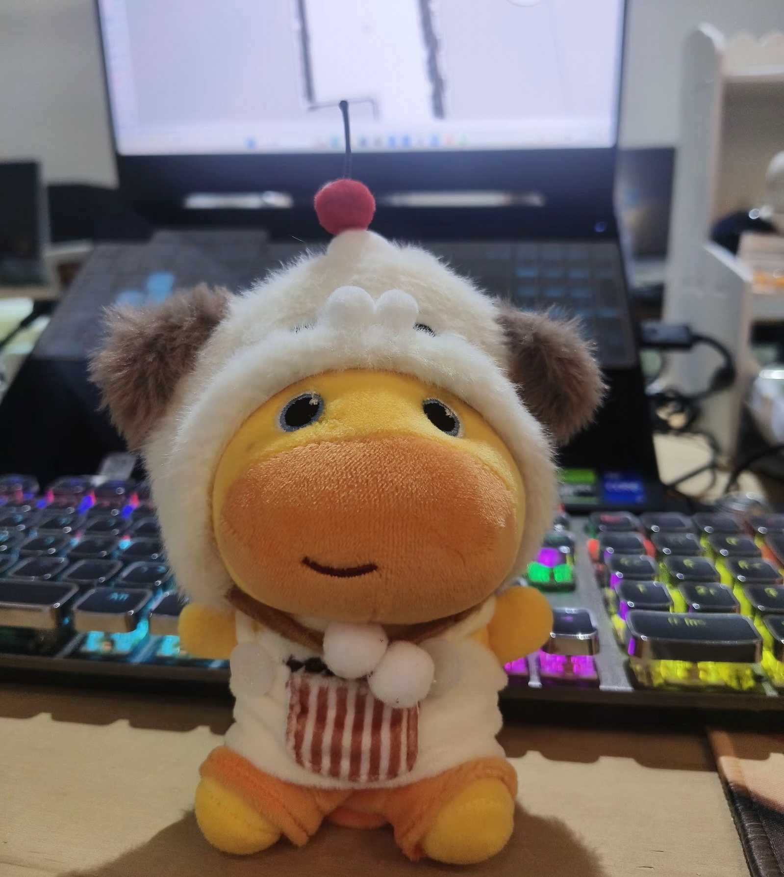 给噜噜换装，可爱值拉满啦🥰