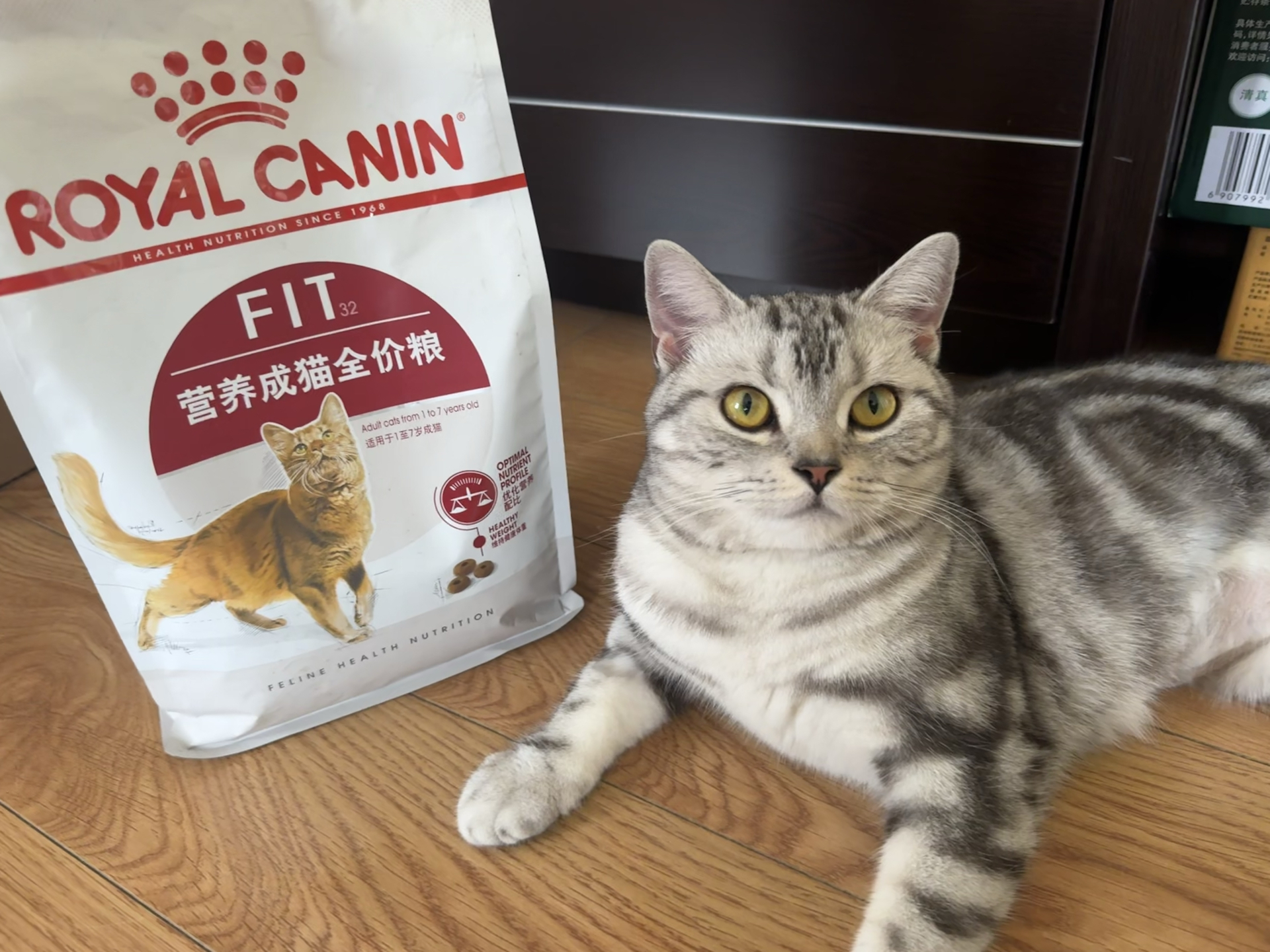 我家猫吃了N年的猫粮😺