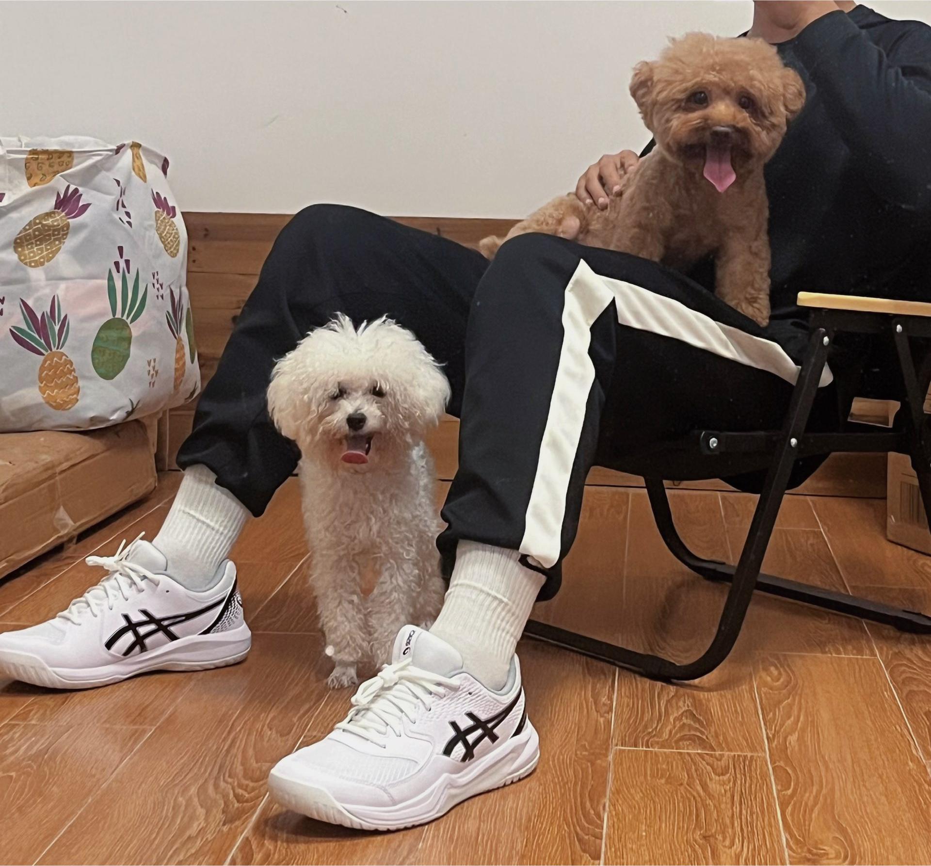 久站打工人的鞋届救星👟