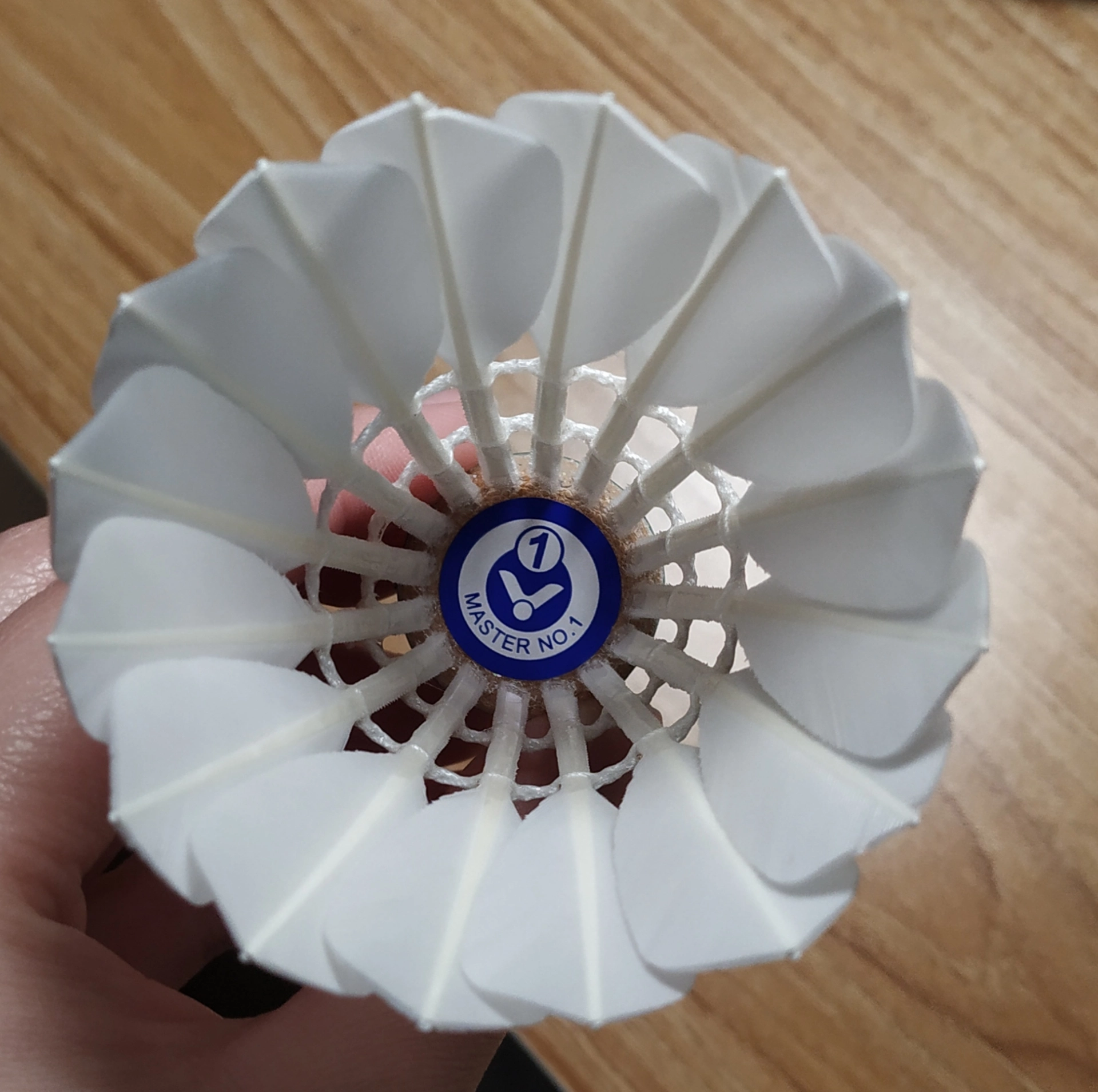 💥比赛级神球！威克多大师1号闭眼冲
