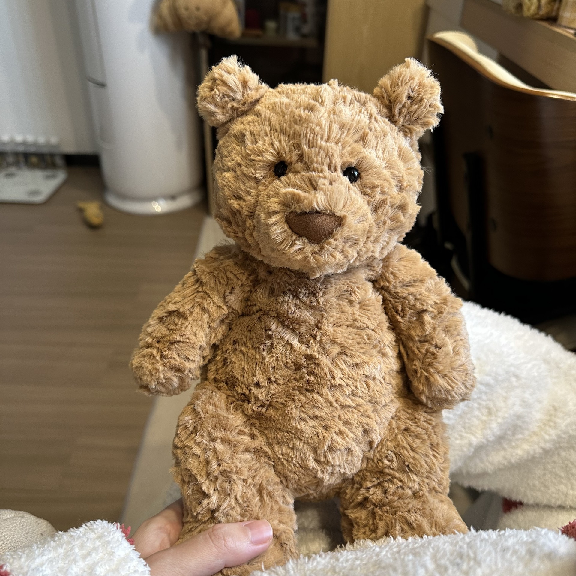 我的第一只jellycat