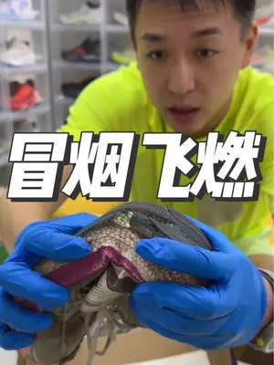 3000km战损版飞燃1——天赋是什么，