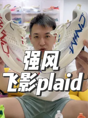 强风吹拂的强风，春夏秋冬的飞影plaid