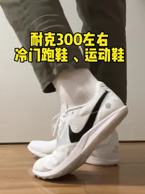 过年捡漏300左右耐克运动鞋