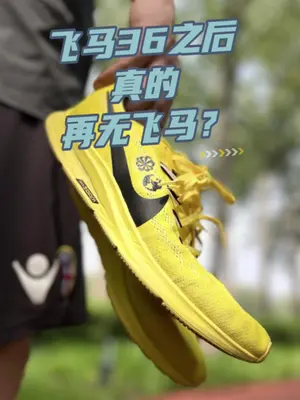 耐克飞马36之后再无飞马 谁赞同？谁反对