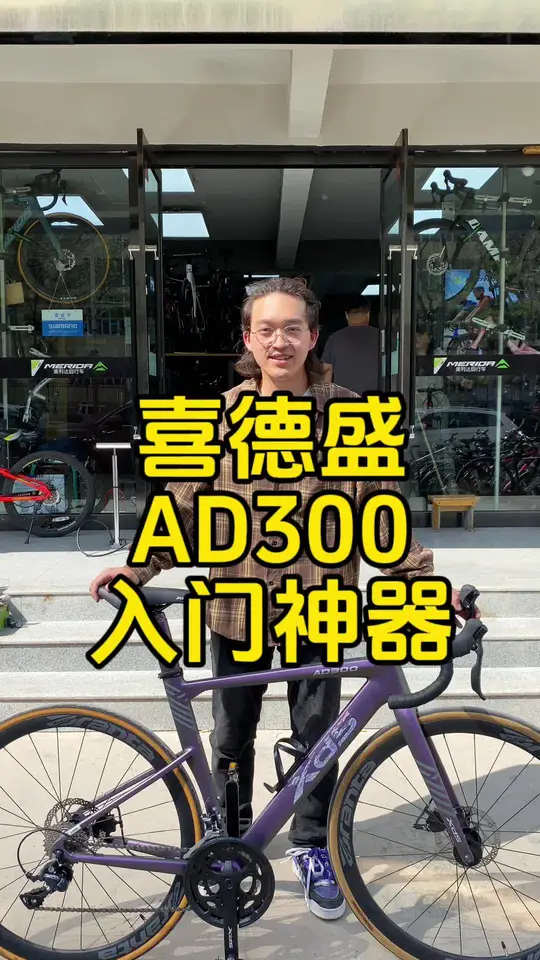 入门神车-喜德盛AD350