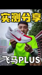 飞马PLUS,到底怎么样?
