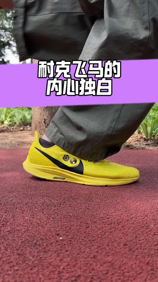 耐克飞马的内心独白 你有了吗
