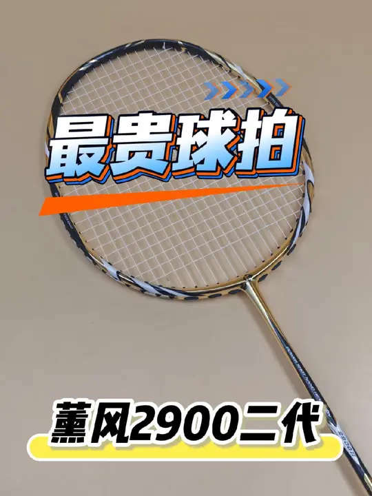 薰风羽毛球拍的天花板，薰风2900二代 