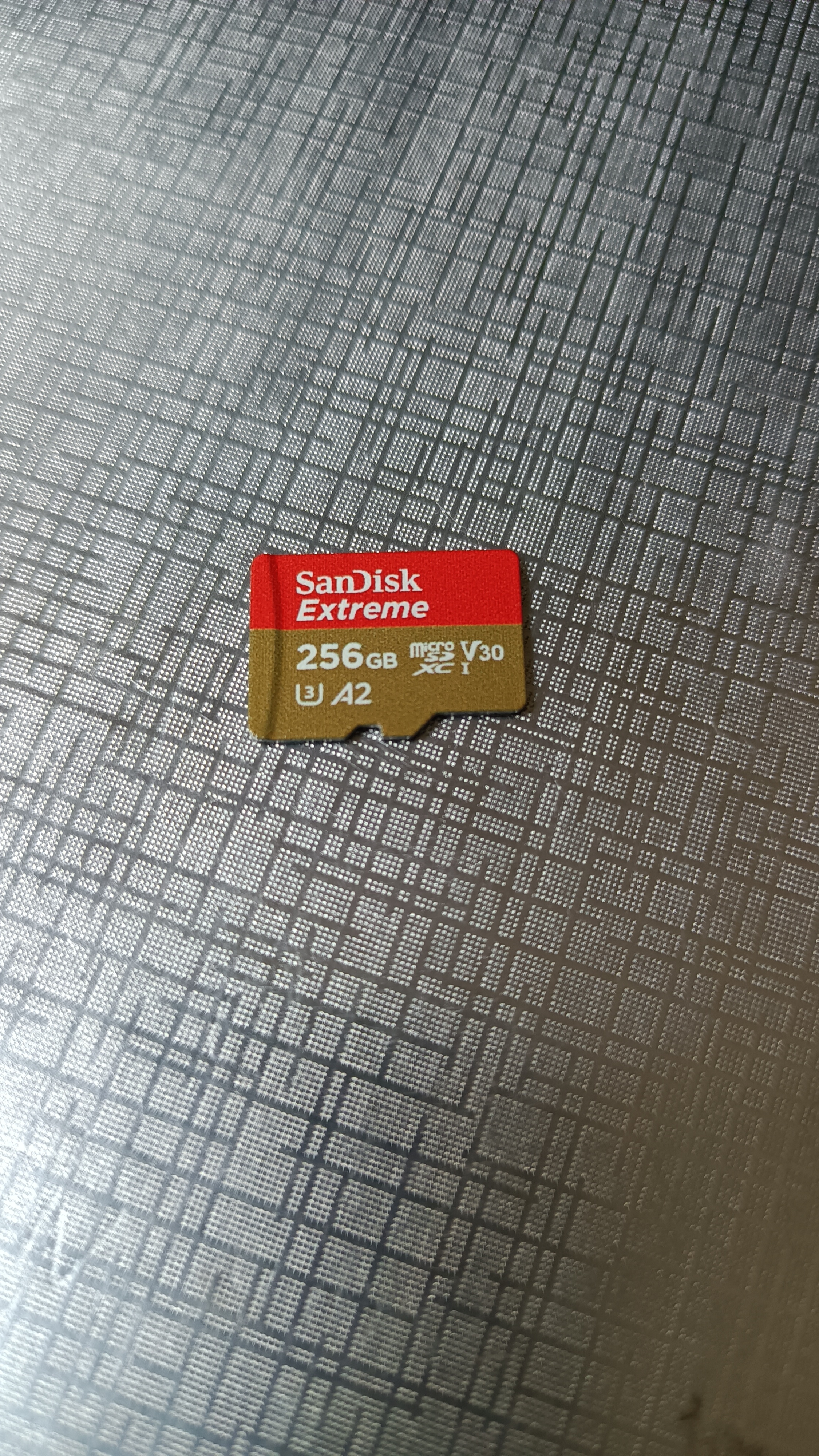 用闪迪存储卡！速度快到飞起！