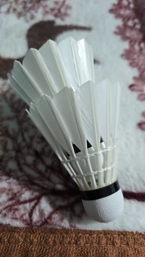 不错了，这个价格对于我们业余羽毛球爱好者