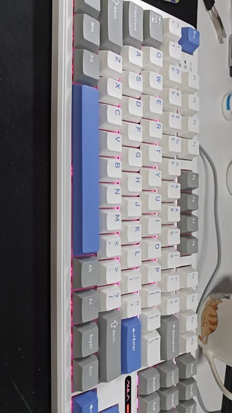性价比王者！入手不后悔⌨
