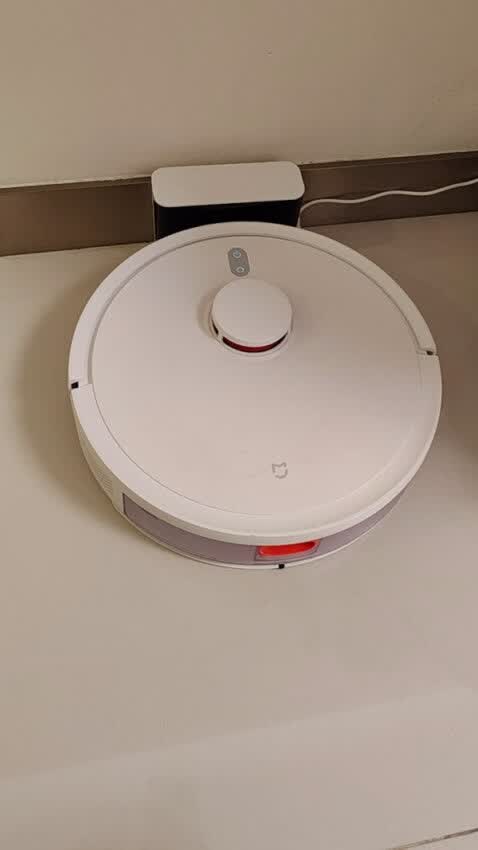 扫地好帮手or小烦恼🧐