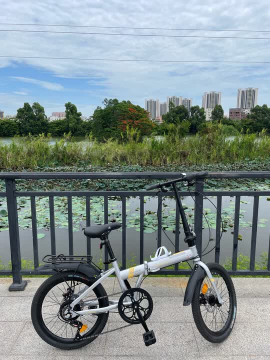 都市骑行“新宠”🚲