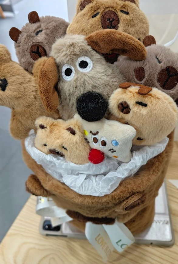 卡皮巴拉花束，把治愈抱回家