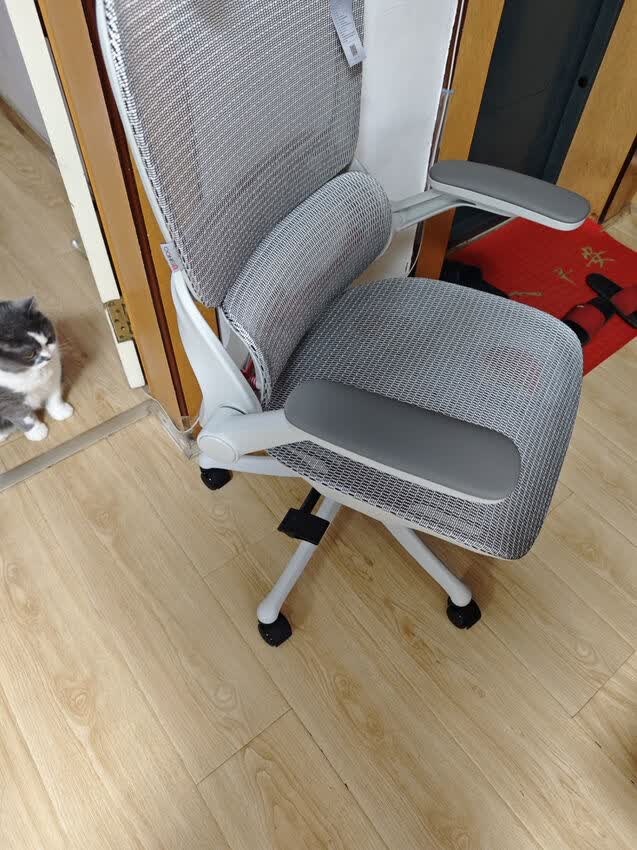 久坐打工人福利！这把网布椅可太行了👀