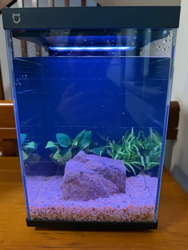 放桌面非常的养眼哦~