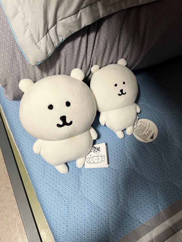 终于入手的萌趣玩偶