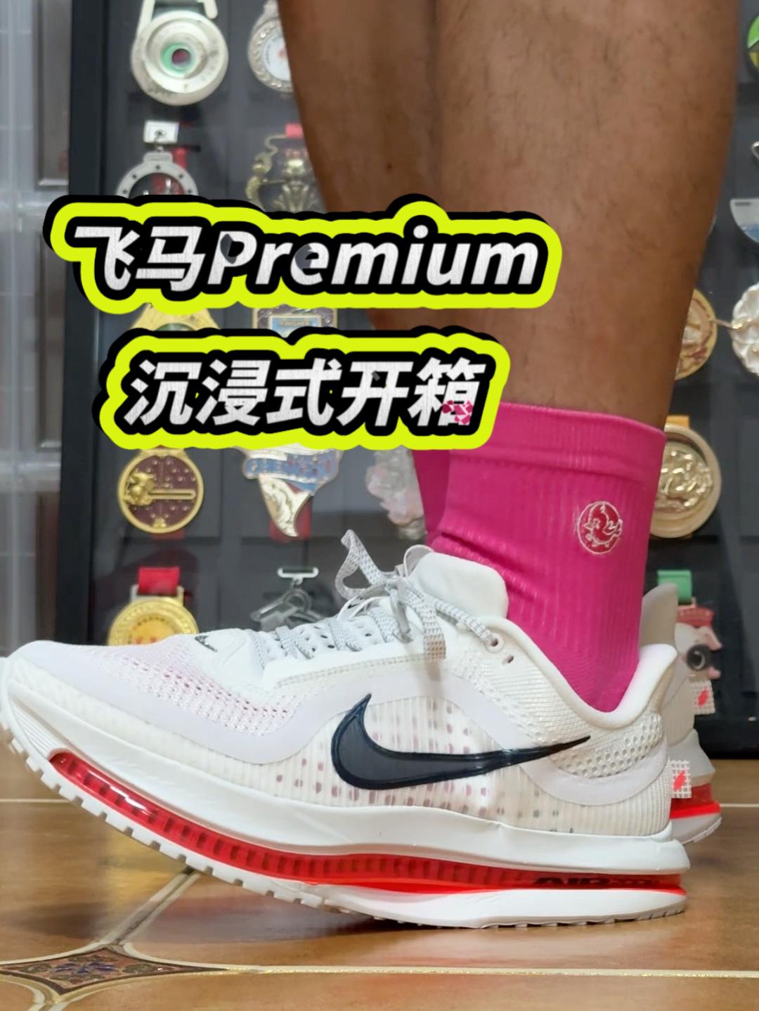 飞马Premium沉浸式开箱