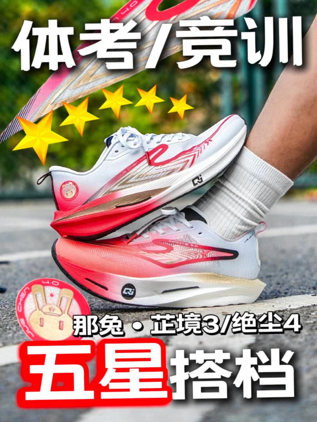 那兔国家队气质？体考竞训5星搭档！