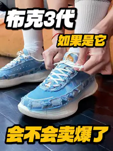 这不就是布克3代吗?