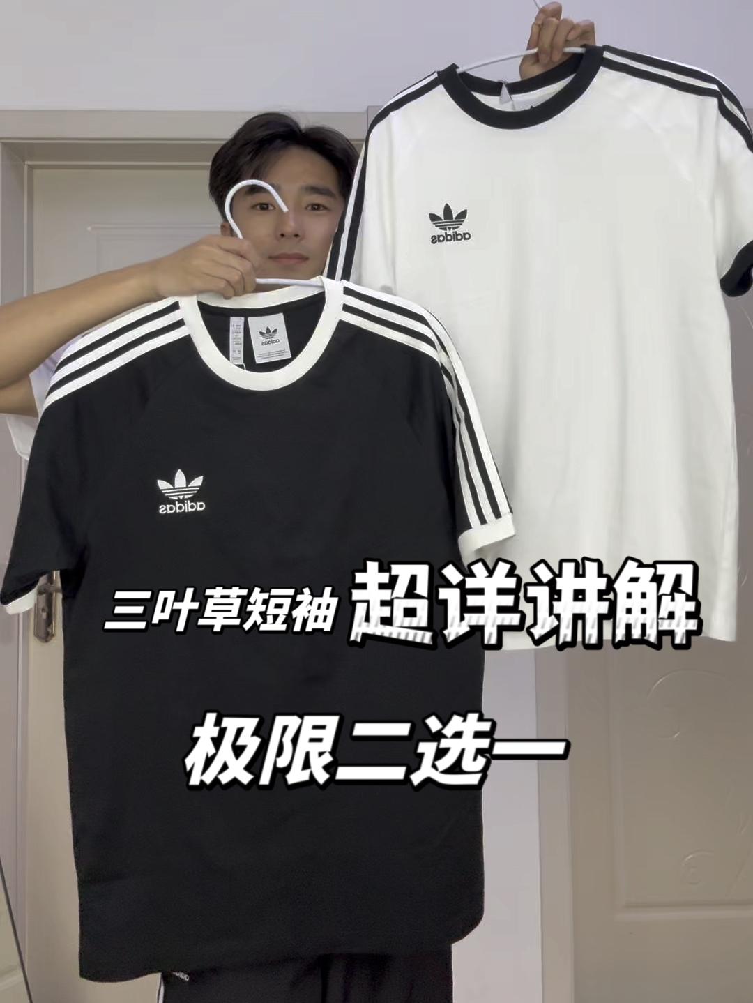 详细测评｜三叶草经典款短袖｜白色、黑色哪个好看？