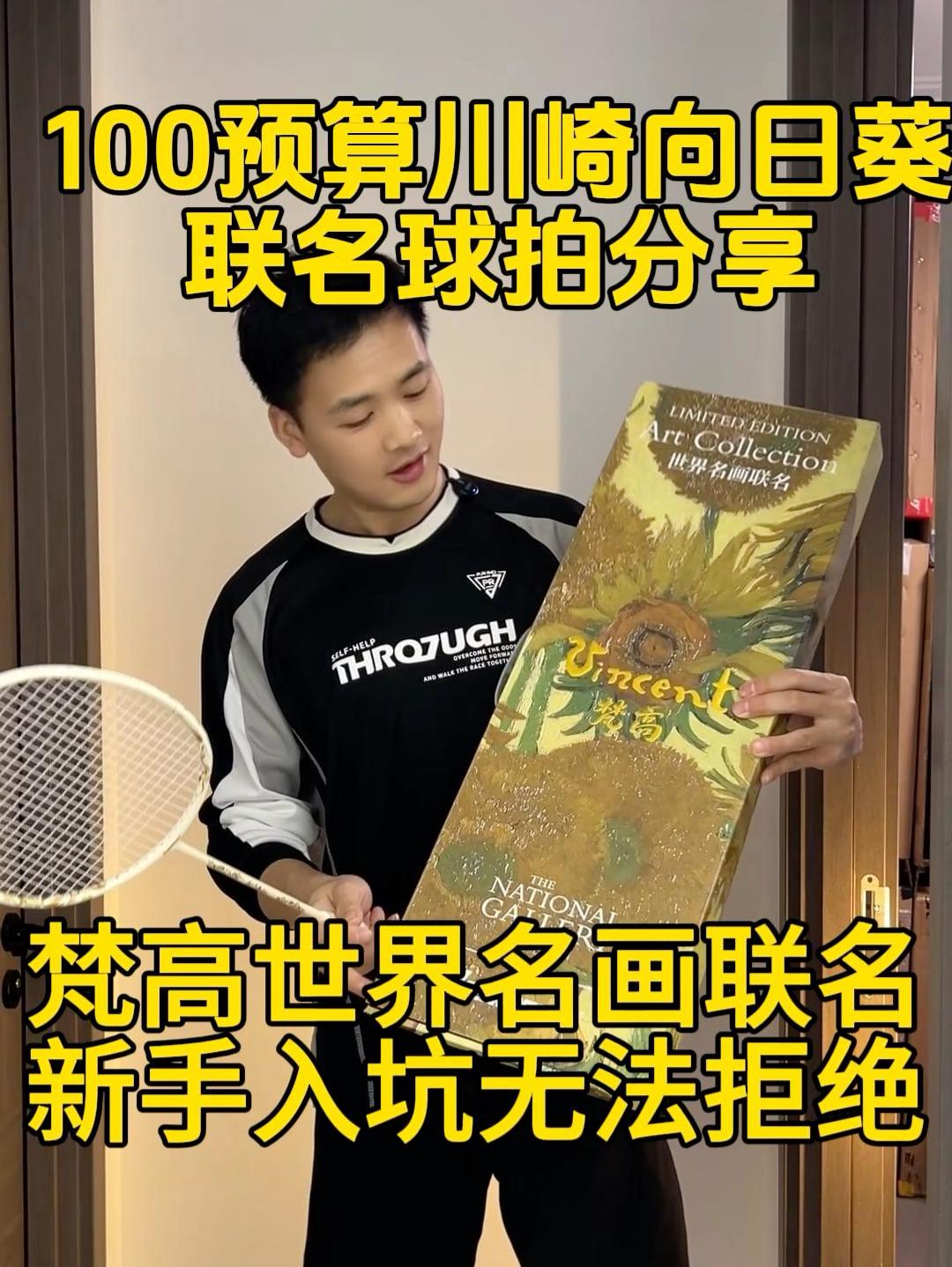 100预算入坑新手无法拒绝的联名球拍