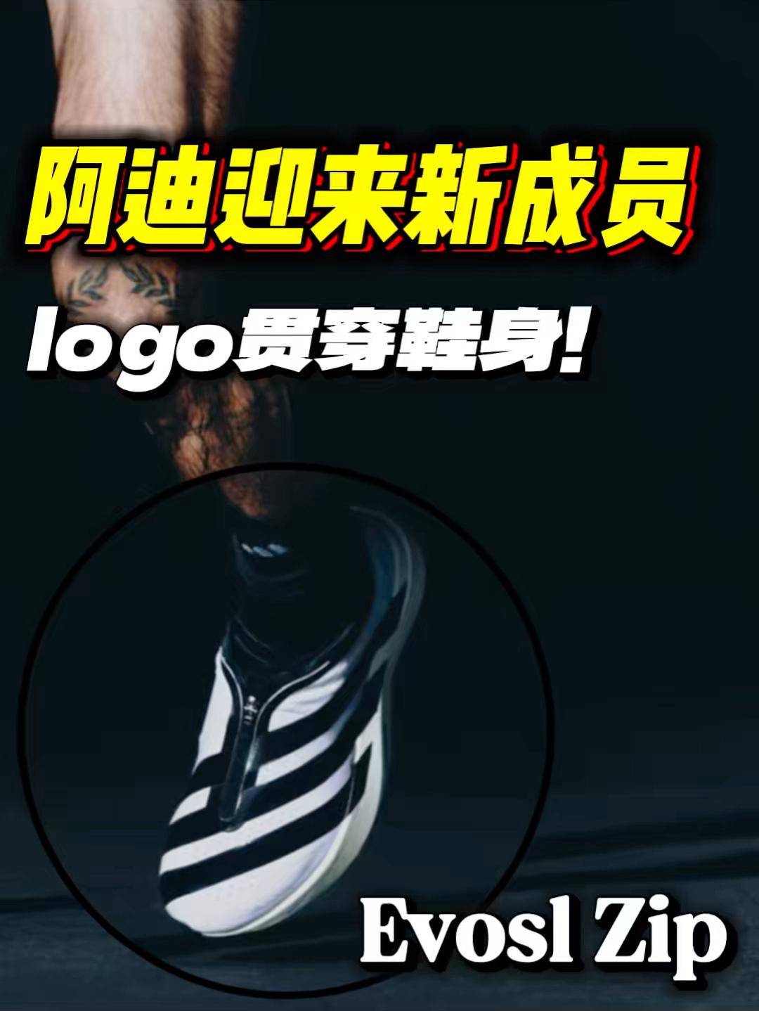 就在今天‼️迪子将迎来新成员,记得去登记!