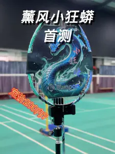 今日测评薰风小狂蟒!200以内打感如何?