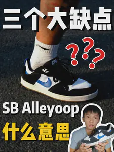SB系列板鞋是什么意思❓❓❓