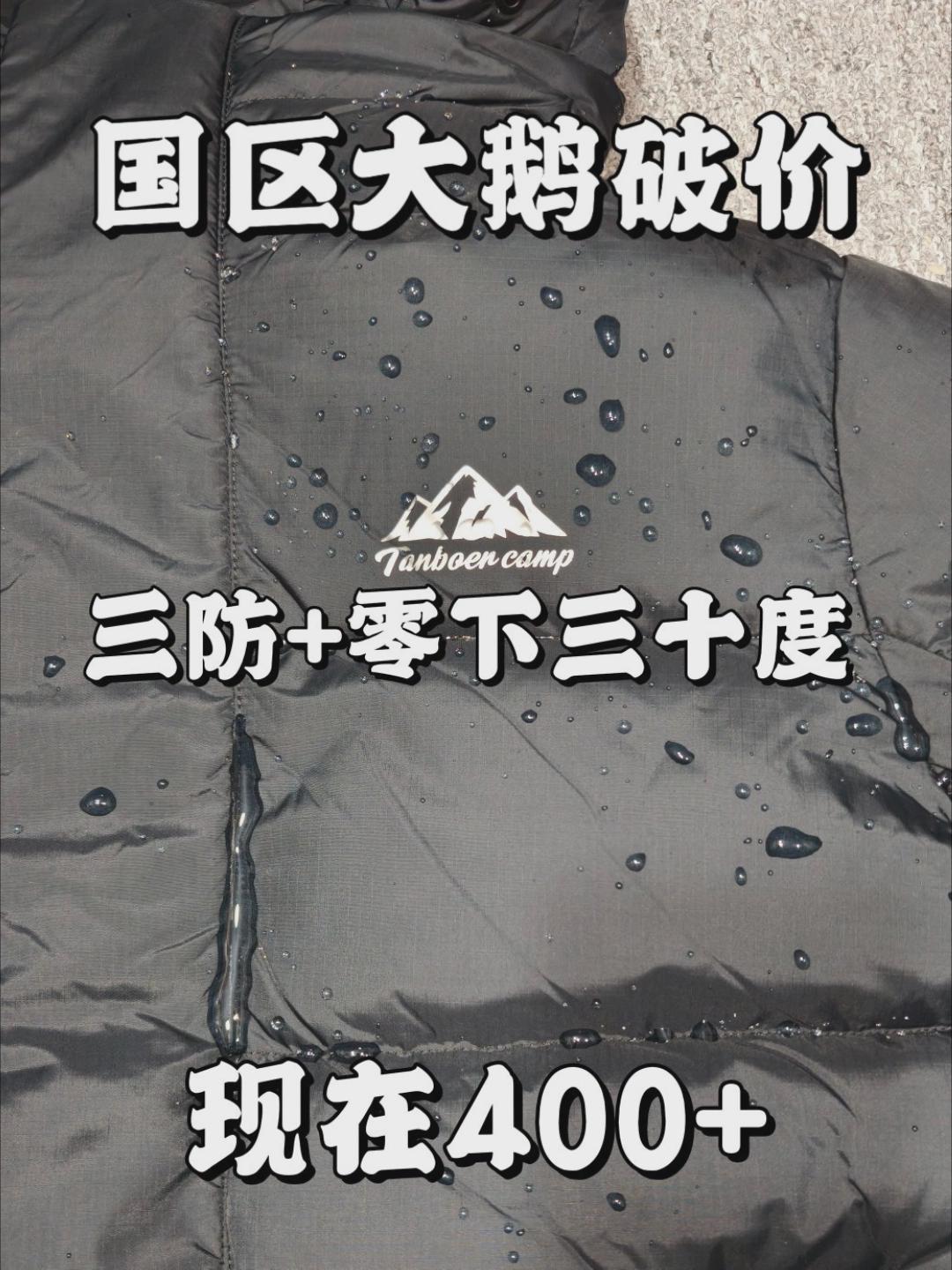 国区大鹅❗三防硬抗零下30度❗