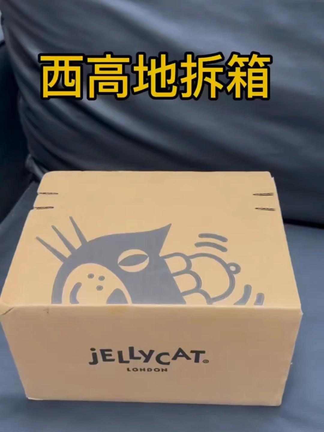 谁能拒绝一只毛茸茸的西高地小狗呢？