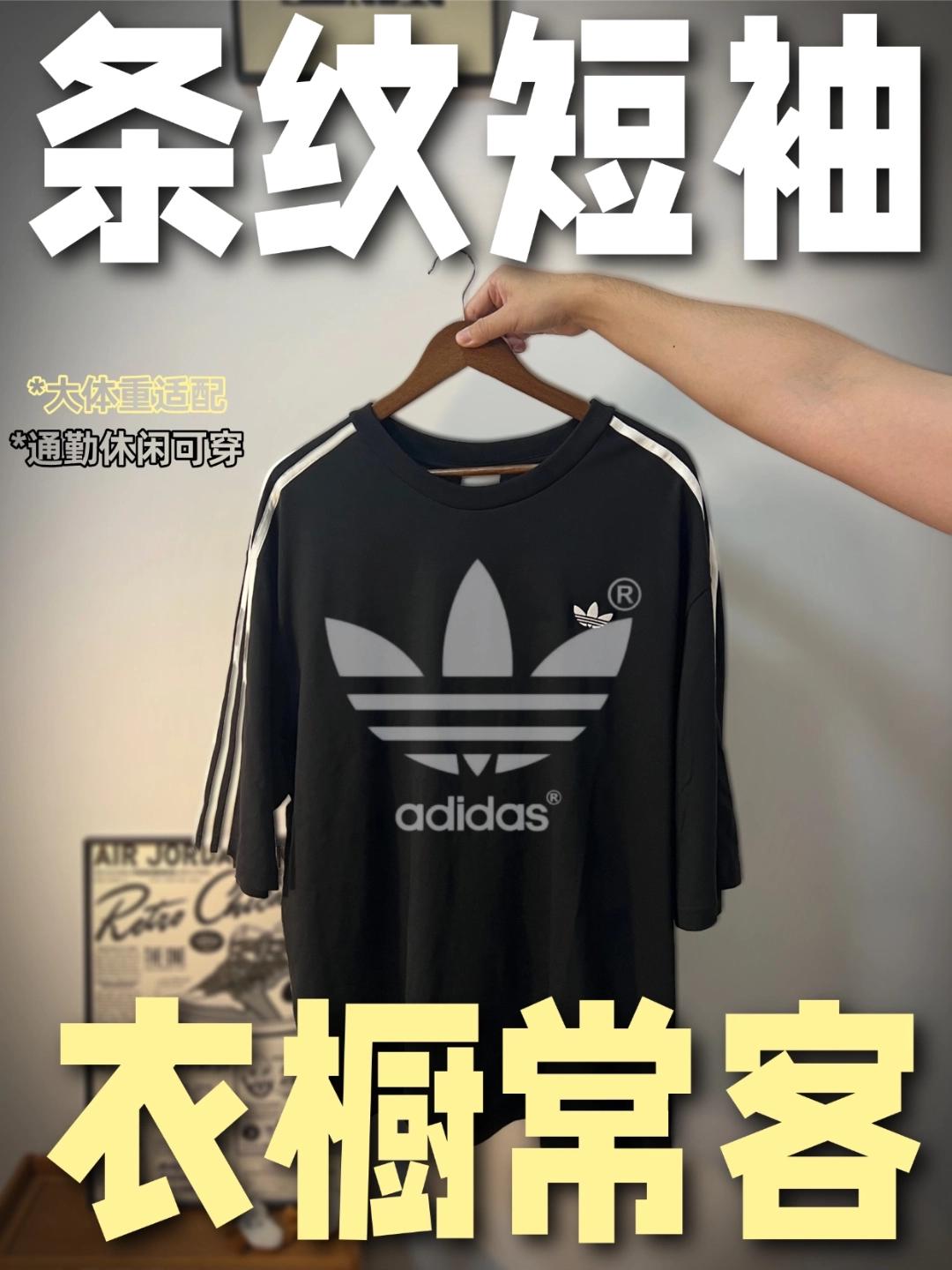顶男都说香