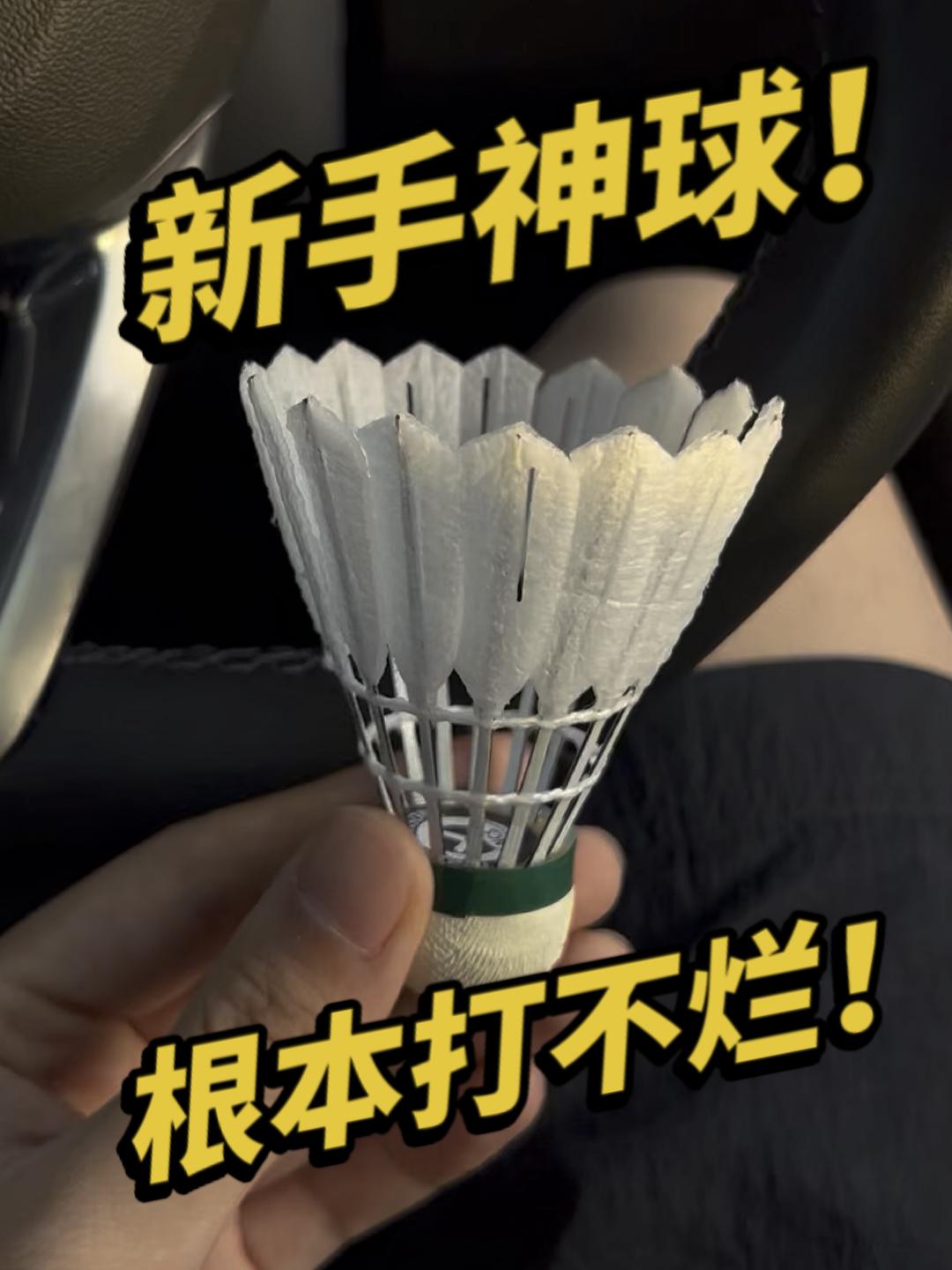 我愿称他为羽毛球新手的神
