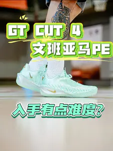 入手有难度的文班亚马PE?!怎么是这个色
