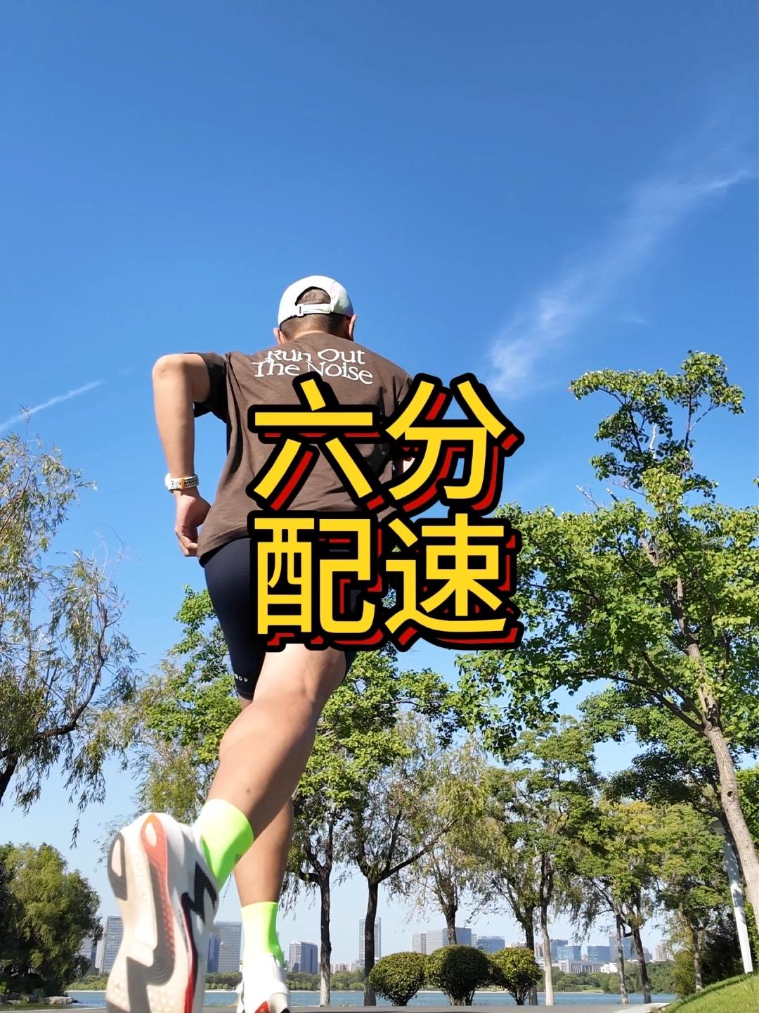 想象中的六分配和实际上的六分配