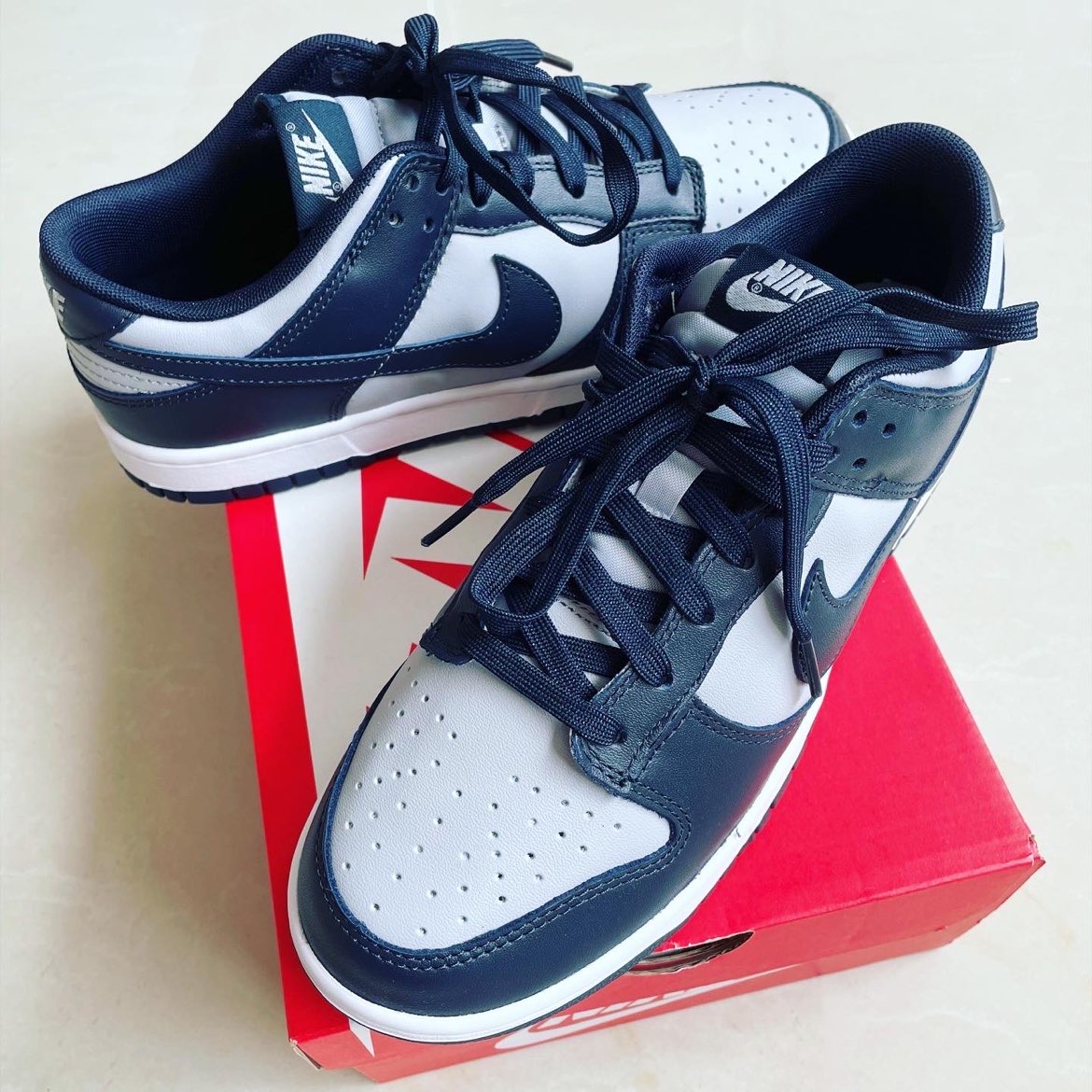 Nike Dunk Low Retro 