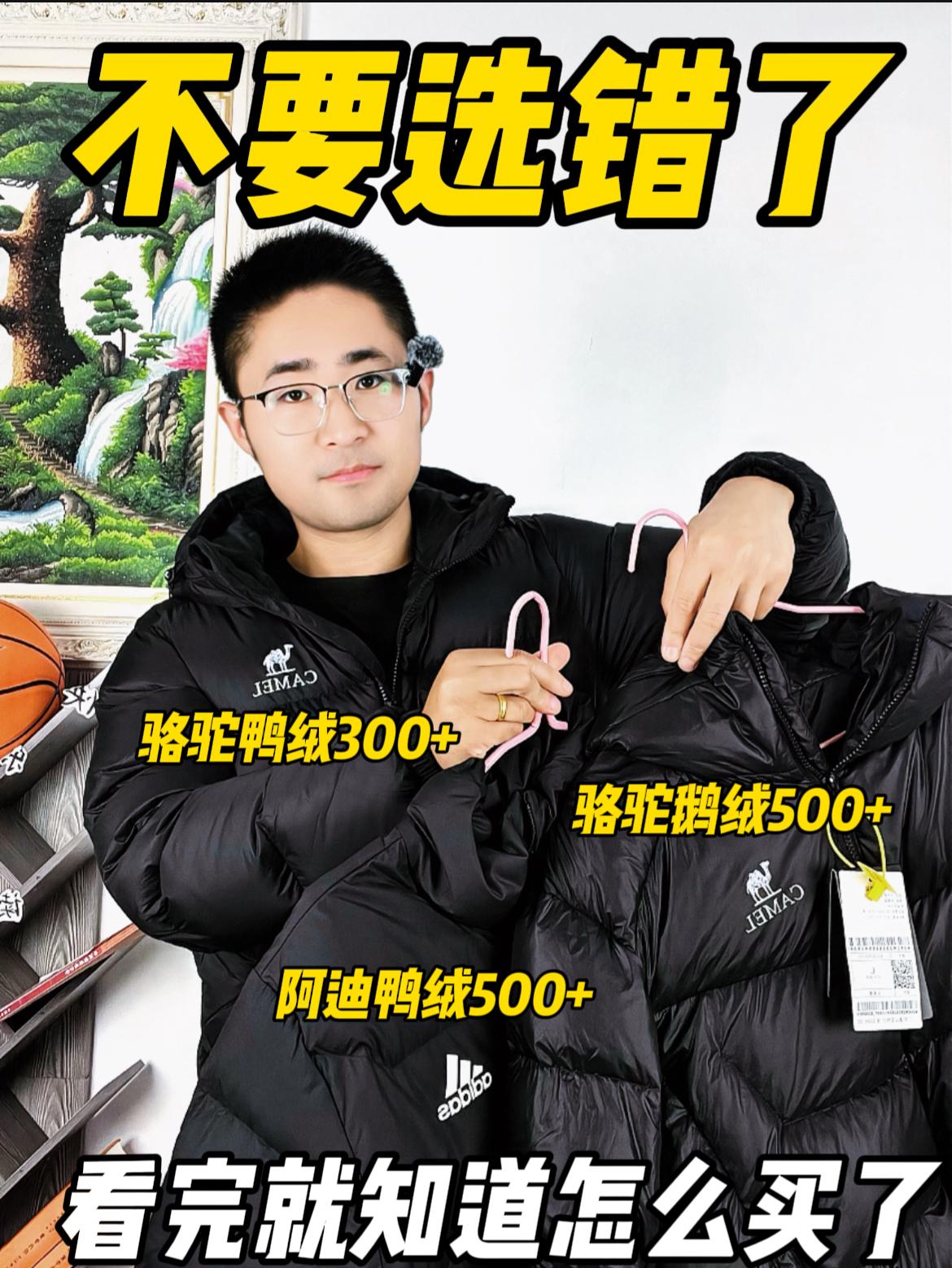 300多骆驼鸭绒、500多骆驼鹅绒、500多阿迪鸭绒,三款到底怎么挑❓❗