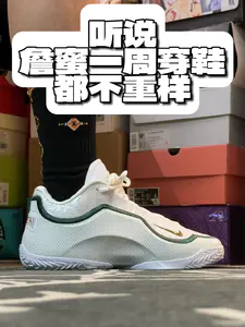 当我买了N双詹姆斯23代…