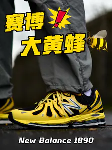 赛博朋克大黄蜂🐝丨延续基因的NB1890